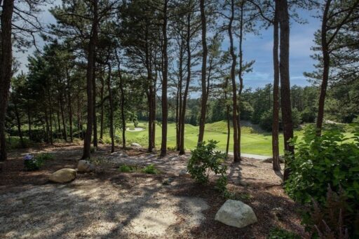 40 Great Kame at The Pinehills main photo