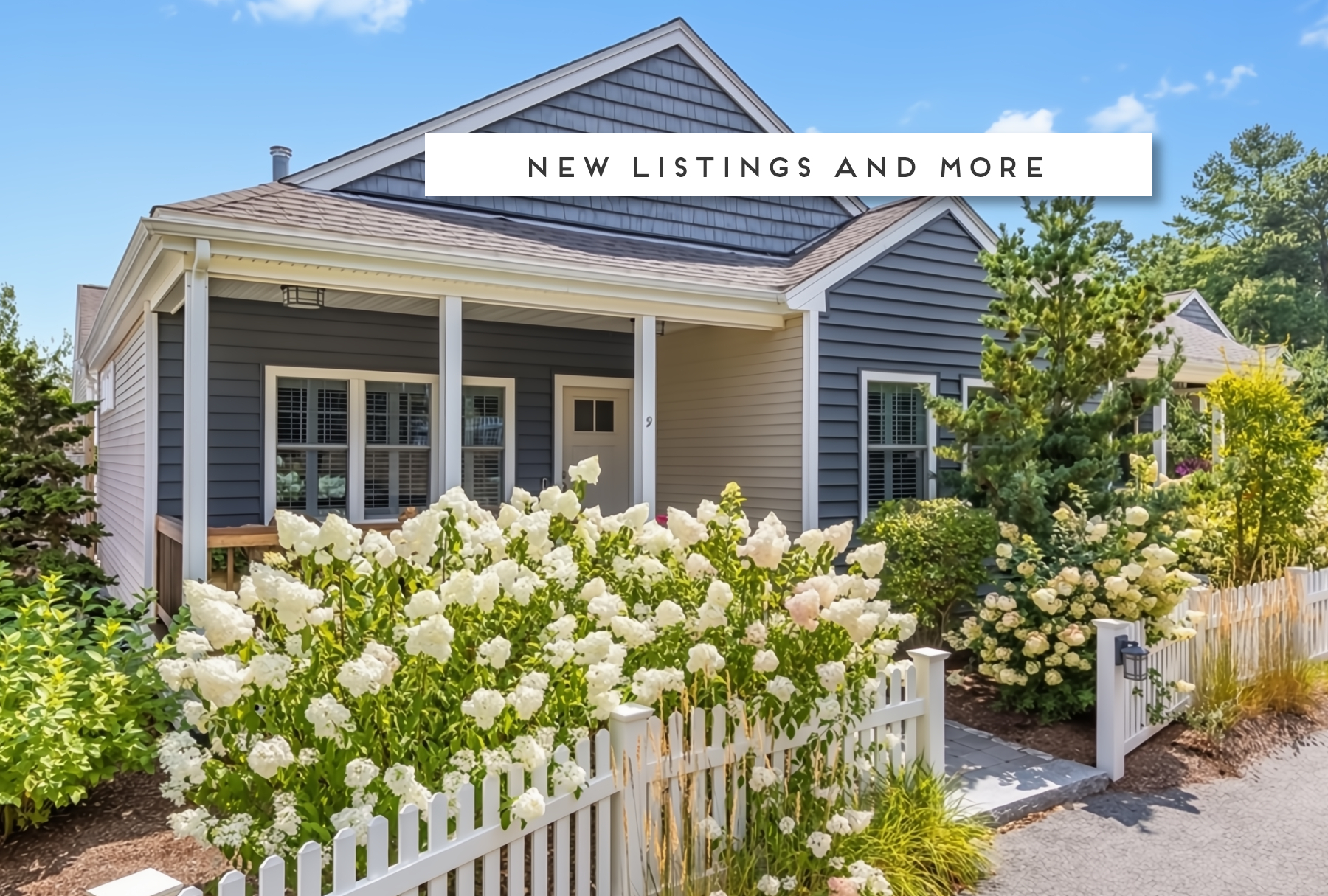 New Listing082825
